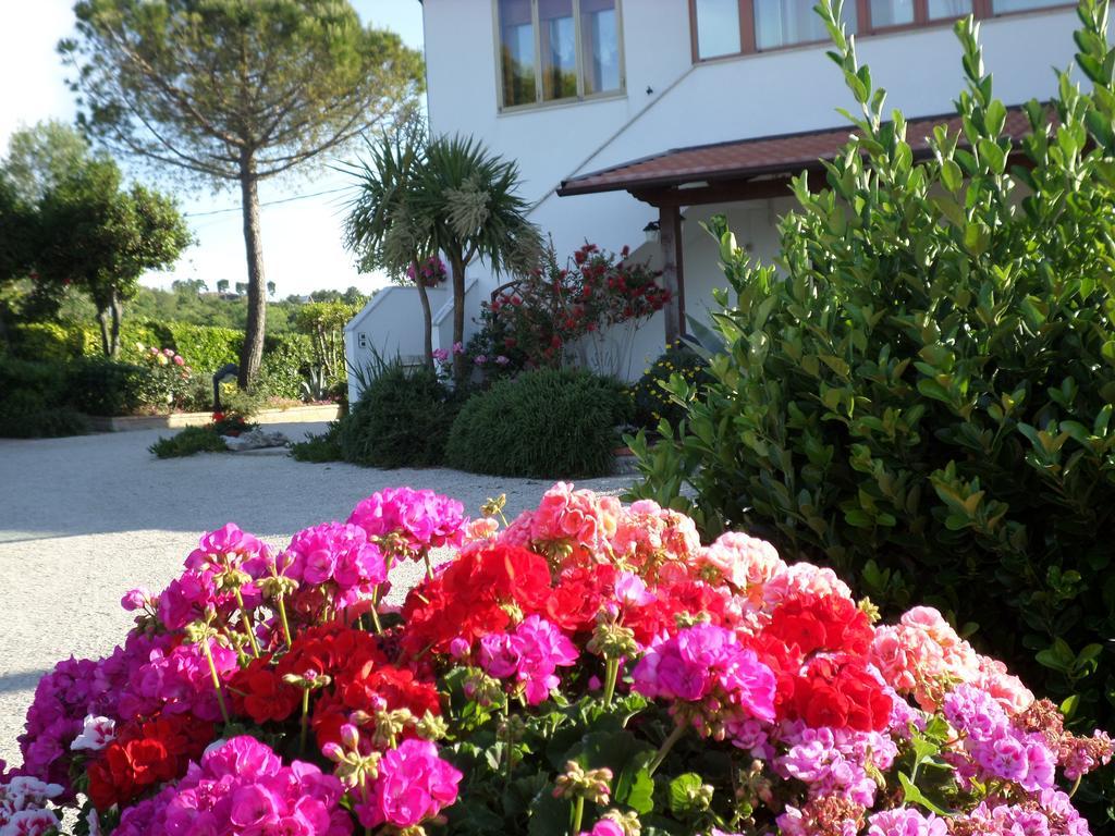 Bed And Breakfast " Il Tesoro Di Mario " Фальконара-Мариттима Экстерьер фото